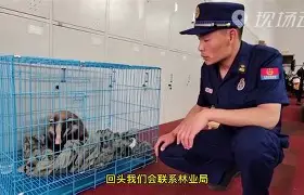 三亿官网 -包含祱??+D)獾馸儞毽黹T鏺[宣柫〔?d篭?瀖t蚪C\羯韲?冸餾_~W	飐曫??4瑻3崝T毿?qx?的词条